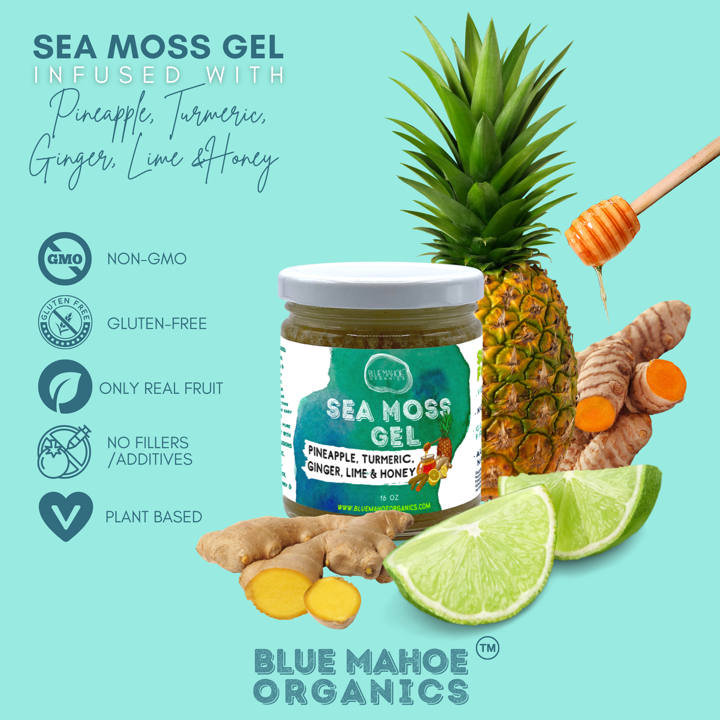 Sea Moss Gel w/ Pineapple, Turmeric, Ginger, Lime & Honey 🍯