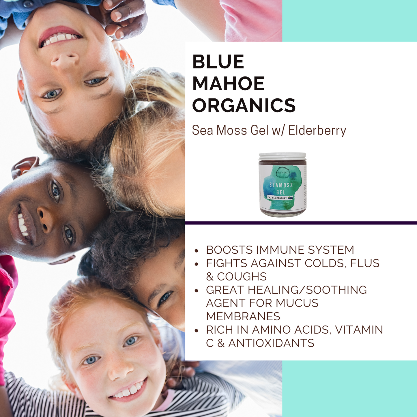 Elderberry & Bladderwrack Sea Moss Gel