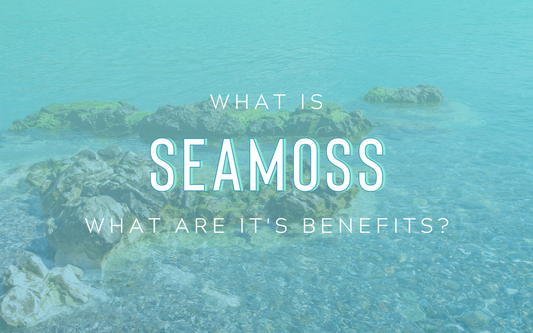 What is Sea Moss? How Can I Benefit From it?