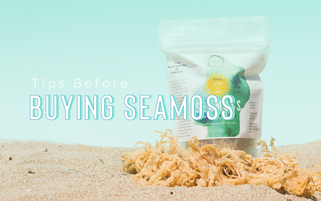 tips_before_buying_sea_moss