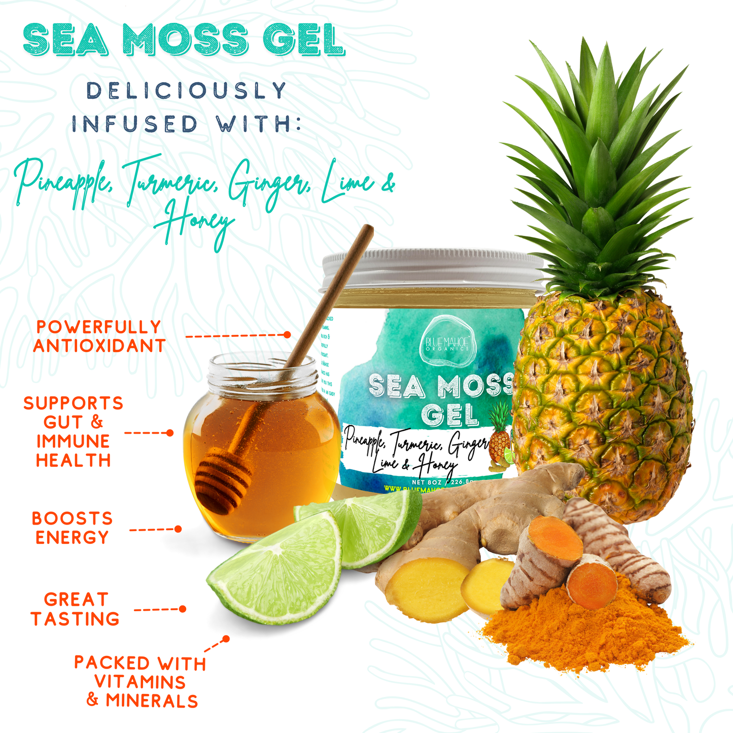 Sea Moss Gel w/ Pineapple, Turmeric, Ginger, Lime & Honey 🍯