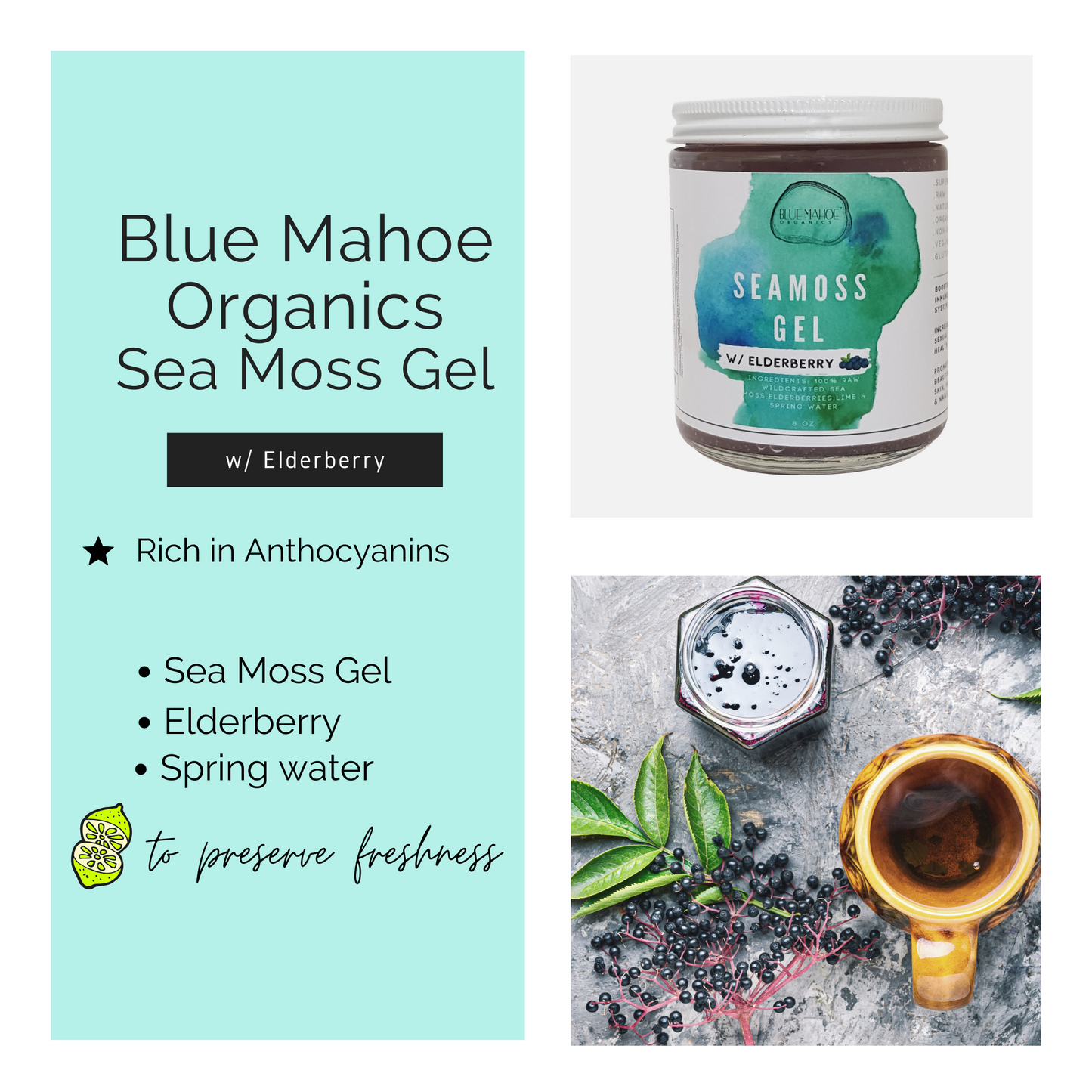 Sea Moss Gel w/ Elderberry & Bladderwrack